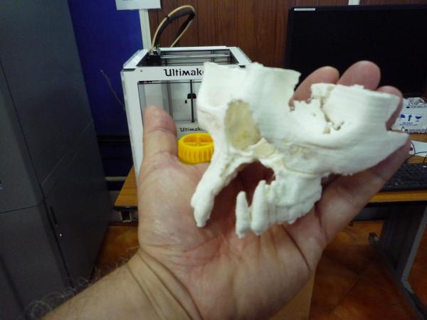 Of high-tech companies, and fablab potential in Trivandrum /img/3d-printed-tomography.small.jpg